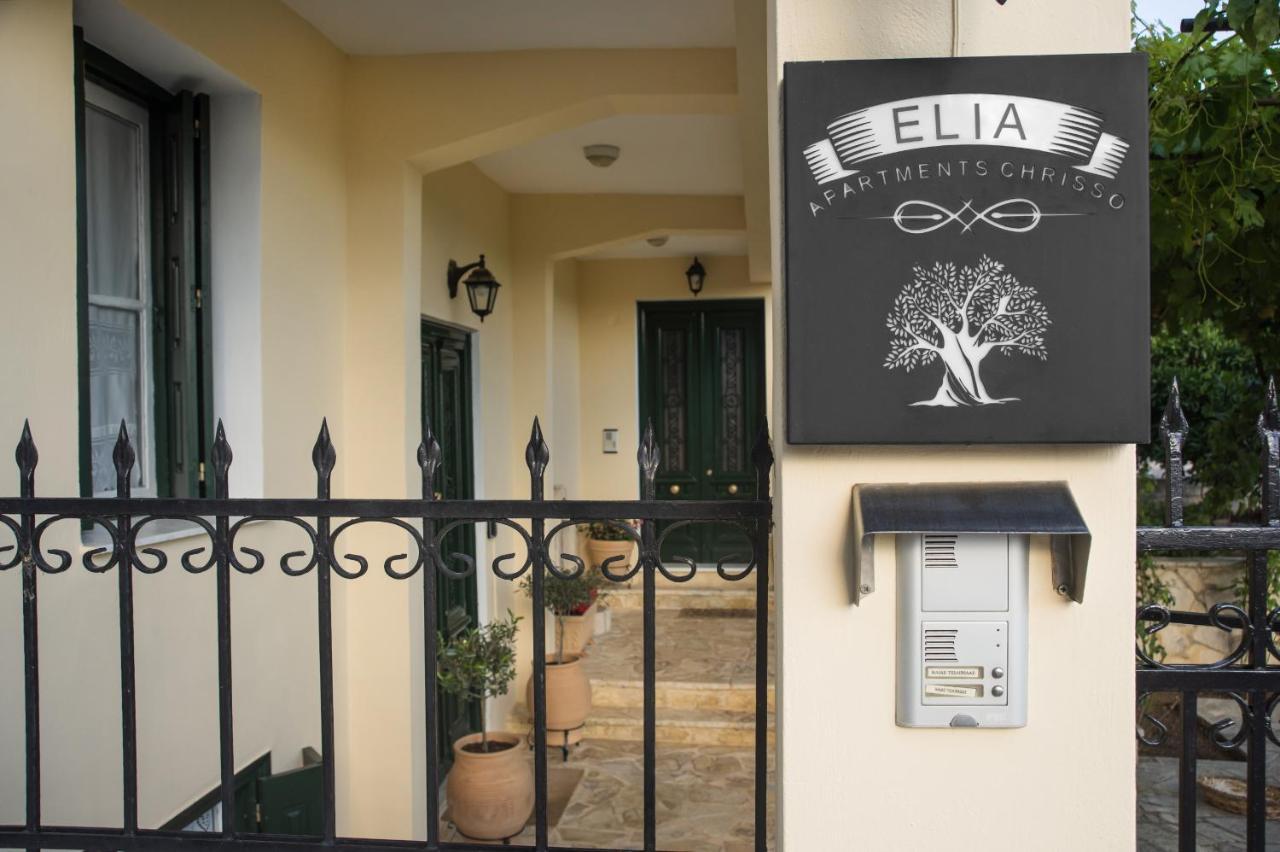 Elia Apartments Chrisso Delfi Esterno foto