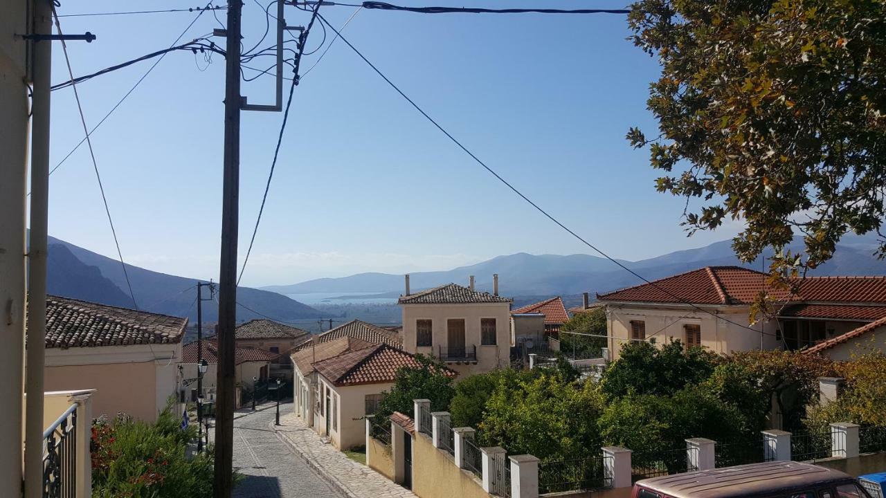 Elia Apartments Chrisso Delfi Esterno foto